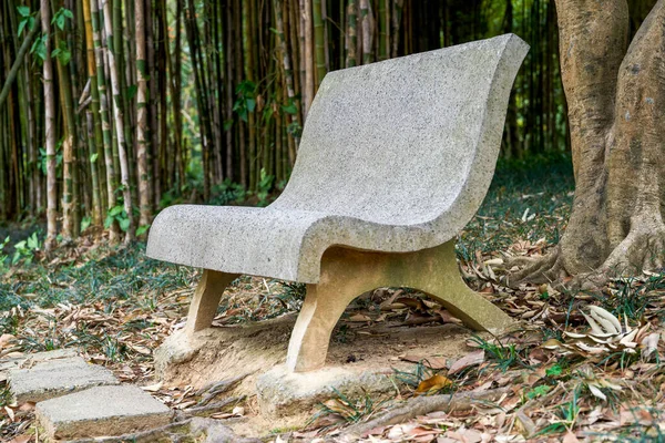 Orman parkındaki taş bir bankın yakın çekimi.