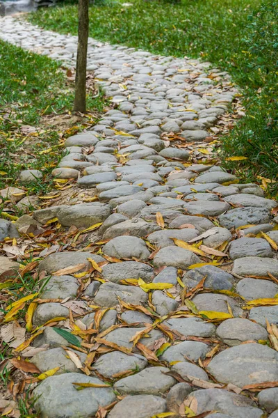 Forest Park 'taki yeşil taş geçidine yakın çekim