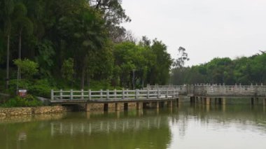 Çin 'deki boş orman parklarının, eski binaların ve kulelerin manzarası.