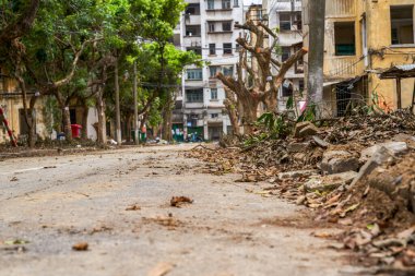 Eski bir yerleşim bölgesinde eski ağaçlara ve tahta kazıklara yakından bakın.