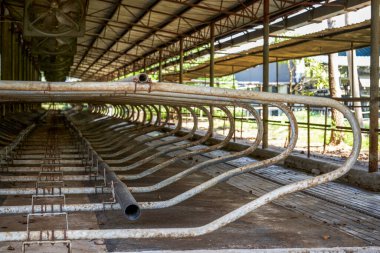 Vacant factory building of a professional dairy farming base