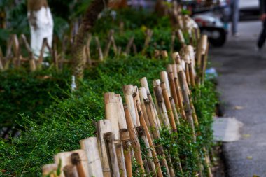 Çin bahçesindeki bambu çitlere yakın plan.