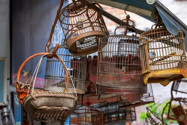 Traditional Bamboo Woven Bird Cages Sale Market — Stock Photo, Image