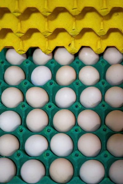 トレー上の卵のクローズアップ — ストック写真