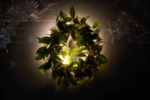 Stěně Visí Zelená Lampa Kroužek Listů — Stock fotografie