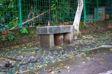 Eski bir parktaki rahatlatıcı taş bir bankın yakınına.