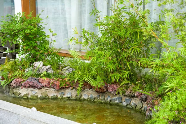 Pool Water Rockery Green Plants Garden — Stockfoto