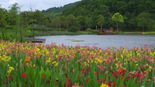 Krásný Výhled Jezero Parku Canna Květy Plném Květu — Stock video