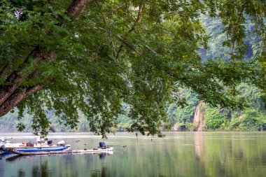Bu ahşap kayıklar dağlarda nehir kıyısında demirli.