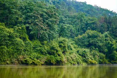 Guilin, Guangxi, Çin 'deki Guilin manzarası.