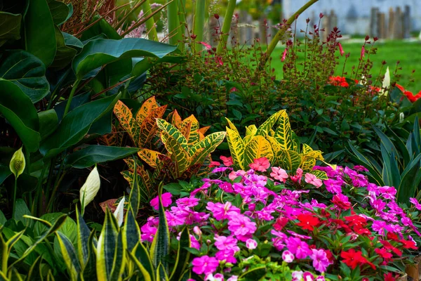 Landscape Design Flowers Plants Modern Flower Gardens — Zdjęcie stockowe