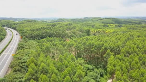 Rodovia Suburbana Paisagem Florestal Guangxi China — Vídeo de Stock