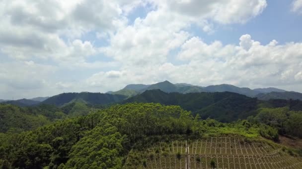 Outdoor Groene Bergwoud Landschap Met Blauwe Lucht Witte Wolken Guangxi — Stockvideo