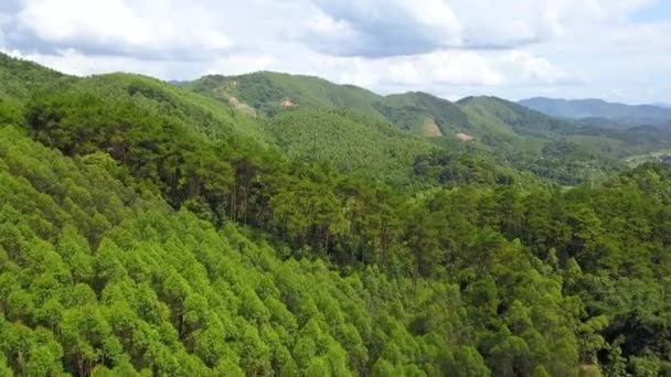 Открытый Зеленый Пейзаж Горного Леса Голубым Небом Белыми Облаками Гуанси — стоковое видео