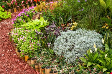 Modern çiçek bahçeleri için çiçek ve bitkilerin peyzaj tasarımı