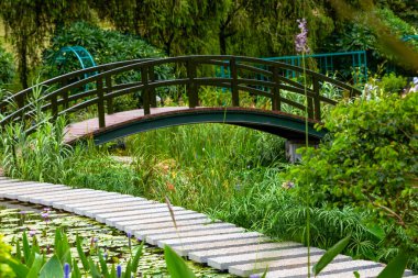 Recreational beautiful plants and trail view in the park