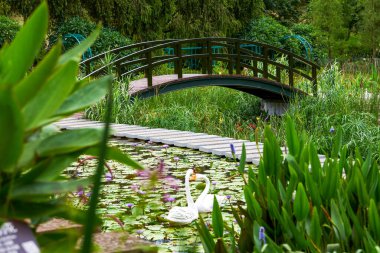 Recreational beautiful plants and trail view in the park