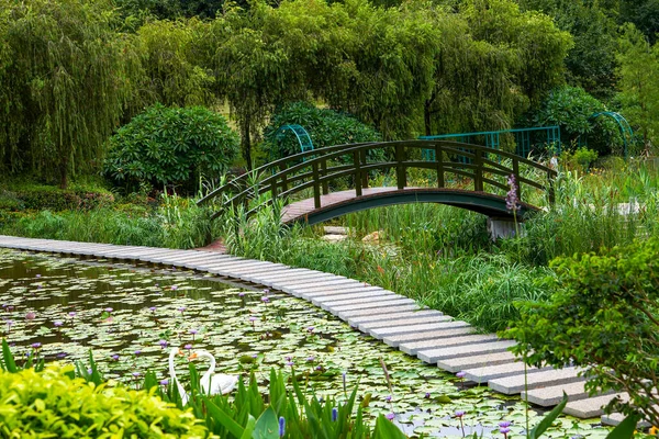 Recreational beautiful plants and trail view in the park