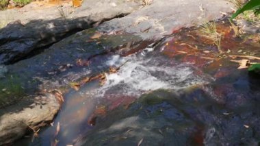 Close-up of mountain spring water stream in wild mountains
