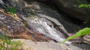 Close-up of mountain spring water stream in wild mountains