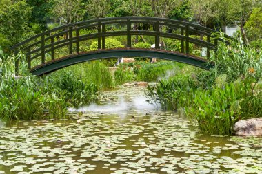 Recreational beautiful plants and trail view in the park