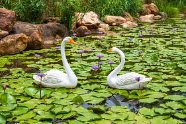 Lush lotus leaves and two swan statues in the lotus pond in the park
