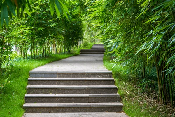 Leisure Trail Bamboo Forest Park — Stockfoto