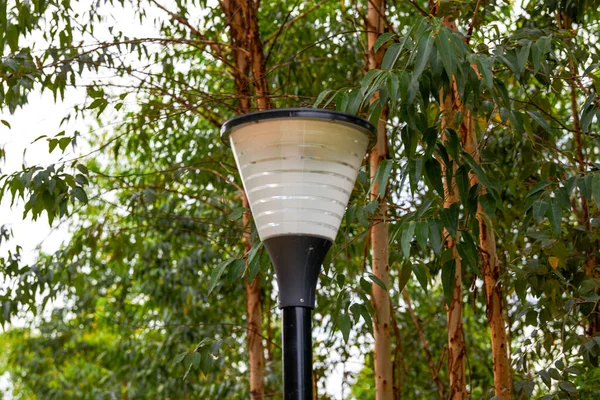 Close White Glass Street Light Park — 图库照片