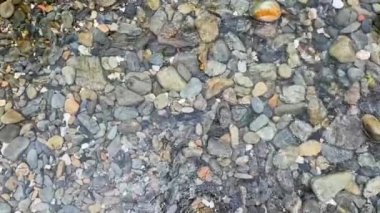Escalated slow motion of clear stream water in the suburbs