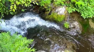 Slow motion video of small waterfall flowing in mountain stream in Guilin, Guangxi, China