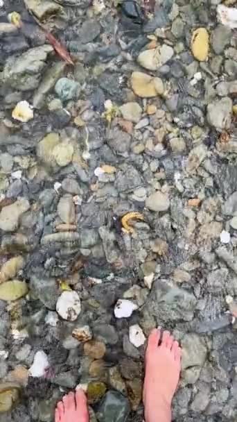 Escalated Slow Motion Clear Stream Water Suburbs — Video