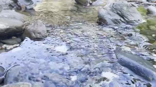 Κρυστάλλινα Καθαρό Ρεύμα Στα Βουνά Γκουιλίν Guangxi Κίνα — Αρχείο Βίντεο