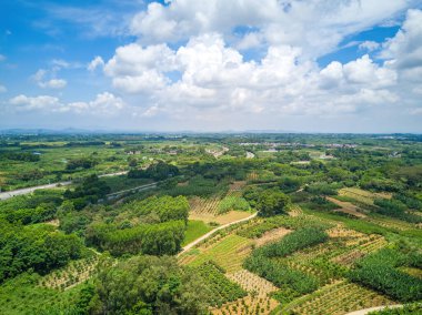 Aerial photography of wild field plants and blue sky and white clouds in Guangxi, China