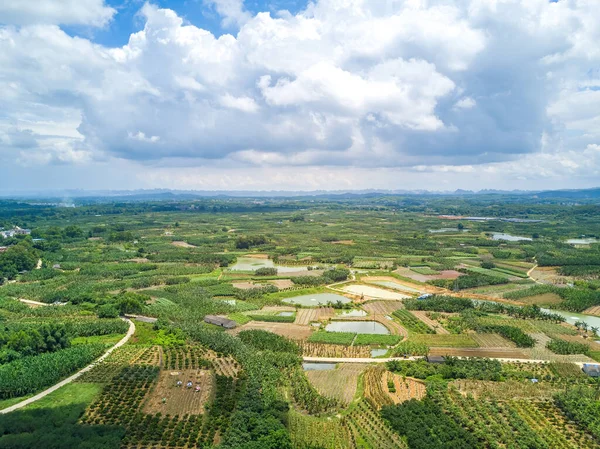 Aerial Photography Wild Field Plants Blue Sky White Clouds Guangxi — Stockfoto