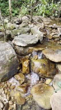 Close-up of wild creek water flow in Gupo Mountain, Hezhou, Guangxi