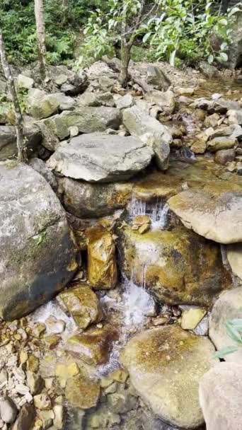 Close Wild Creek Water Flow Gupo Mountain Hezhou Guangxi — Vídeo de Stock