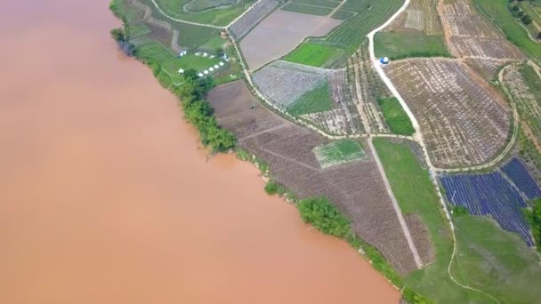 Rural Characteristic Rice Fields Guangxi China Island Farmland — Stock video