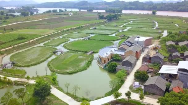 Rural Characteristic Rice Fields Guangxi China Island Farmland — Αρχείο Βίντεο