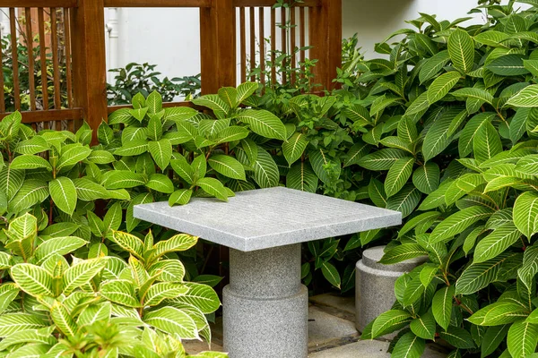 Grüne Pflanzen Tisch Und Stühle Aus Marmor Garten Der Villa — Stockfoto