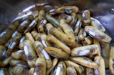 Taze ve dolgun deniz mahsulleri.