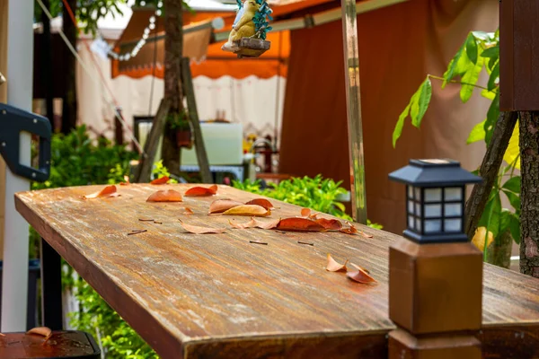 Table Bois Avec Des Feuilles Tombées Dans Jardin Extérieur — Photo