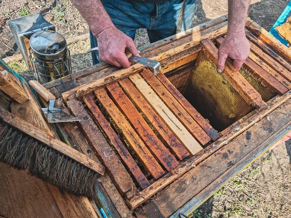 Arı kovanının çatısında bal ve bal peteği olan bir arıcı.