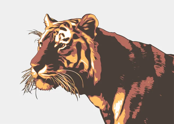 Ilustración Del Tigre Vectorial Cabeza Tigre Bengala Sobre Fondo Negro — Vector de stock