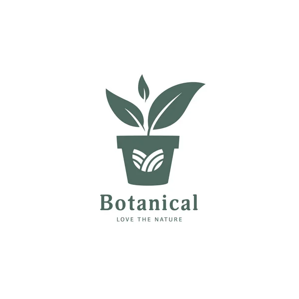 Botanik Bitki Yetiştirme Logosu Şablonu — Stok Vektör