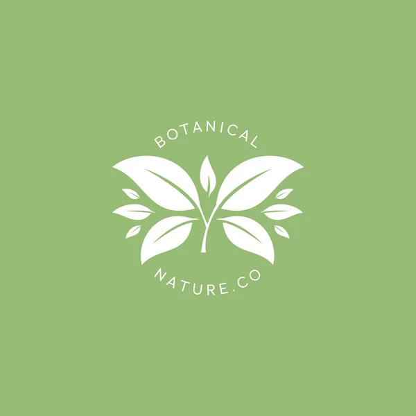 Botanical Herbal Modelo Logotipo Natural Com Folhas Grandes — Vetor de Stock