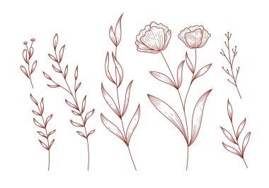 Rustic Hand drawn leaves floral flower isolated clipart illustration Vector vector
