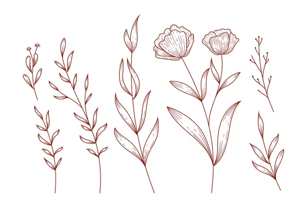 Rustic Hand Drawn Leaves Floral Flower Isolated Clipart Illustration Vector — Wektor stockowy