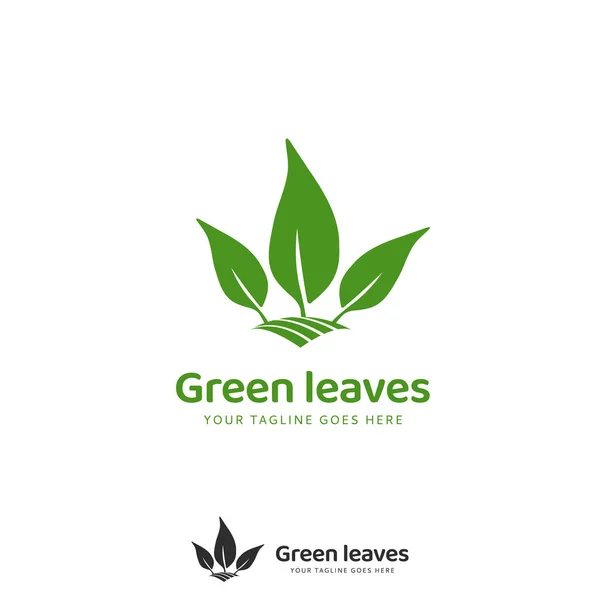 Logotipo Folhas Verdes Modelo Ícone Logotipo Produto Natureza Orgânica —  Vetores de Stock