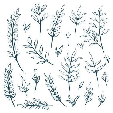 El çizimi çiçek desenli yaprak dekoratif elementler