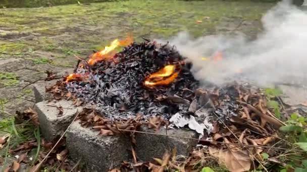Close Burning Leaf Leaves Fire Pit Bonfire Thick White Smoke — Stockvideo